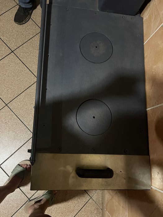 Salamandra em bom estado