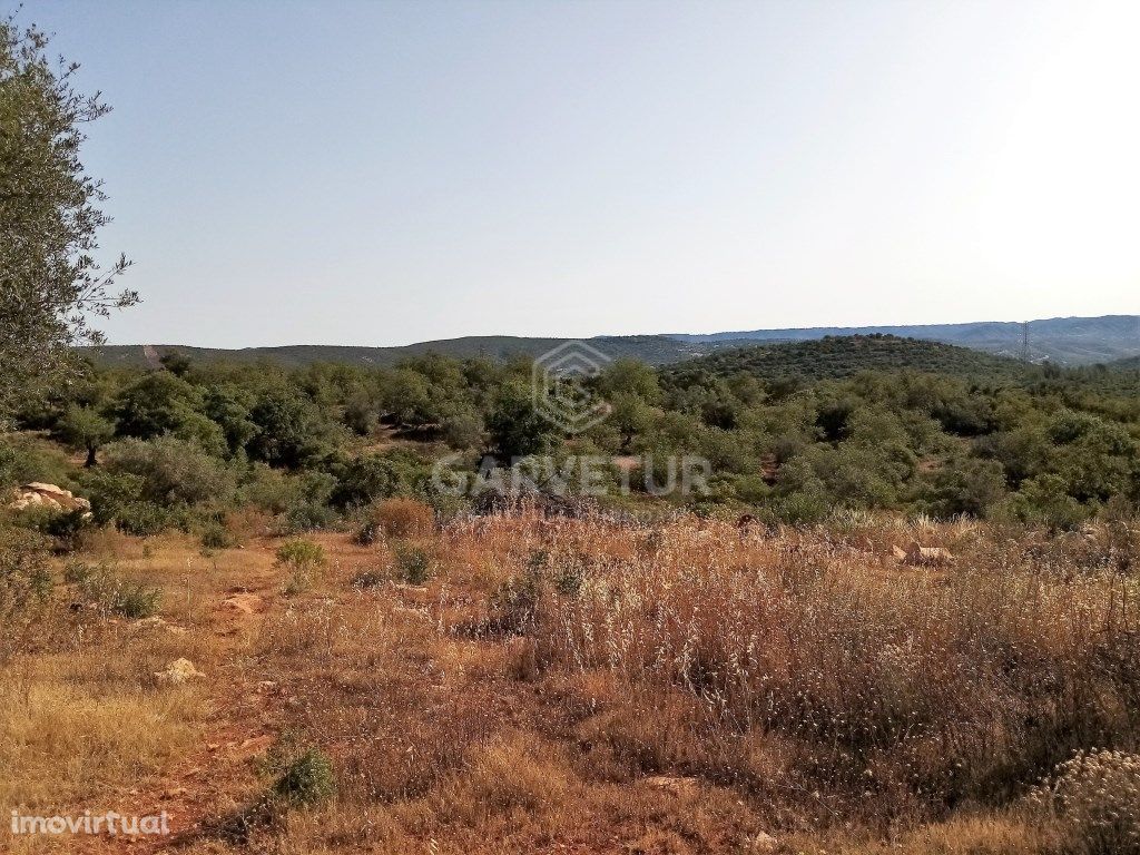 Terreno Rústico perto de Loulé, Loulé, Algarve