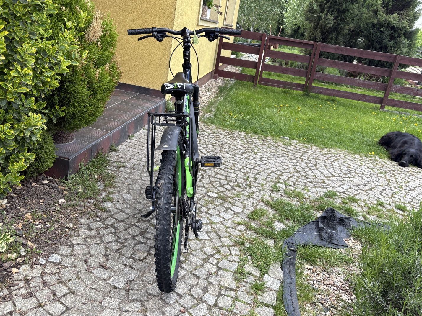 Rower Romet Rambler Dirt 24