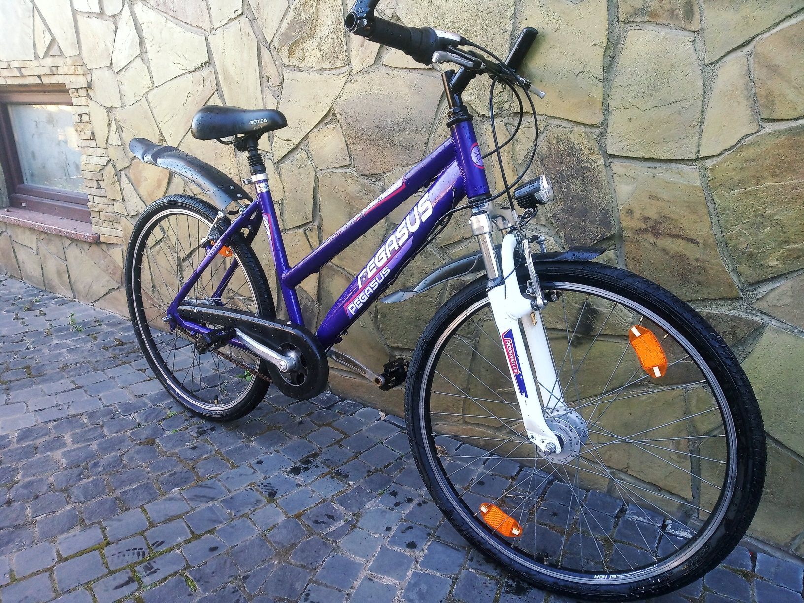Велосипед на планетарці Nexus Pegasus Avanti