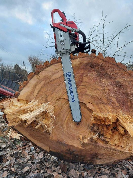 Wycinka drzew, karczowanie