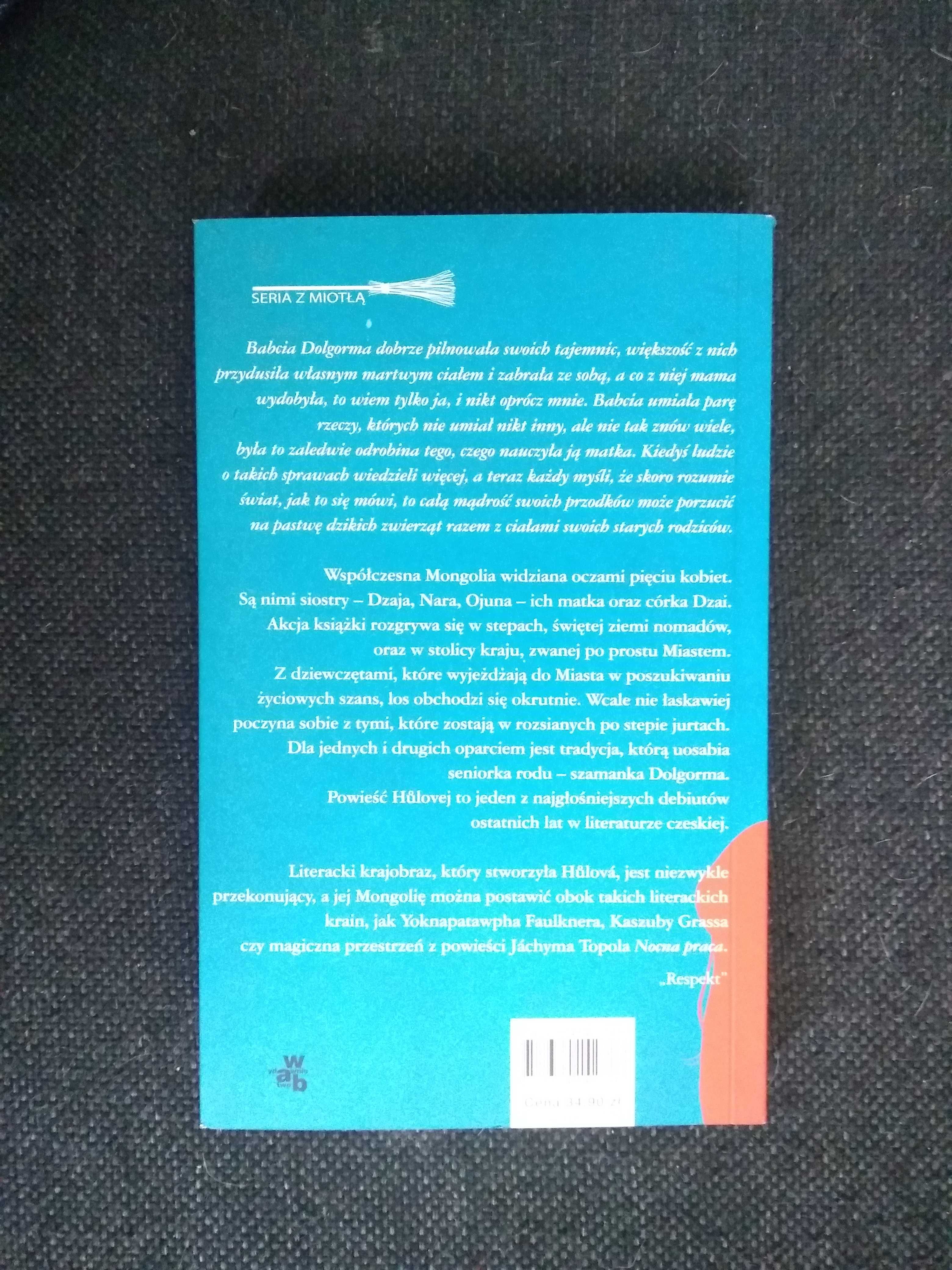 Dobra książka - Czas czerwonych gór Petra Hulova (P72)