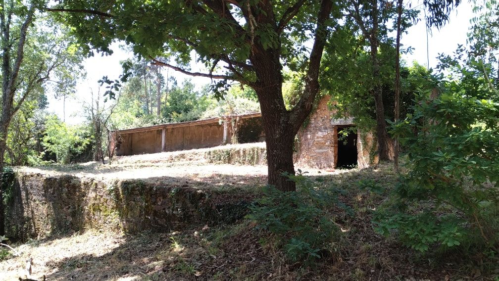 Terreno/quinta com pequena edificação