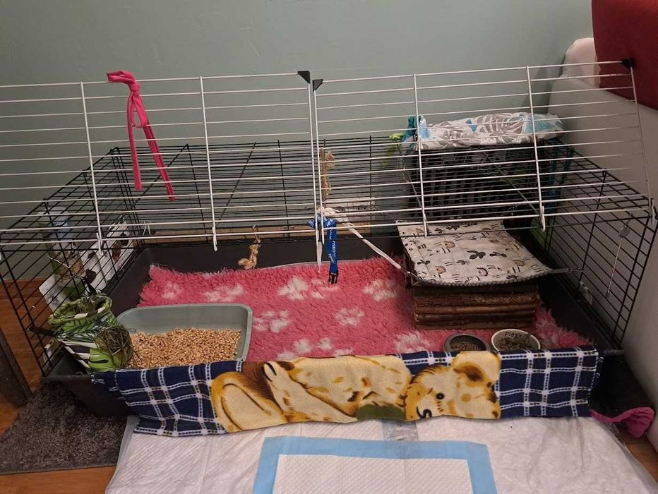 Klatka z akcesoriami  dla małych zwierzaków