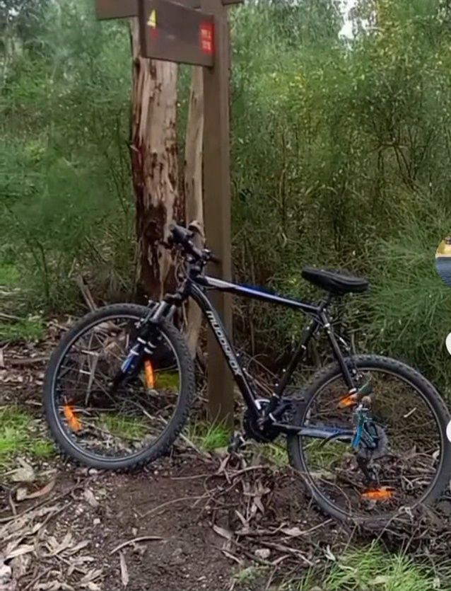 Vendo Bicicleta semi nova