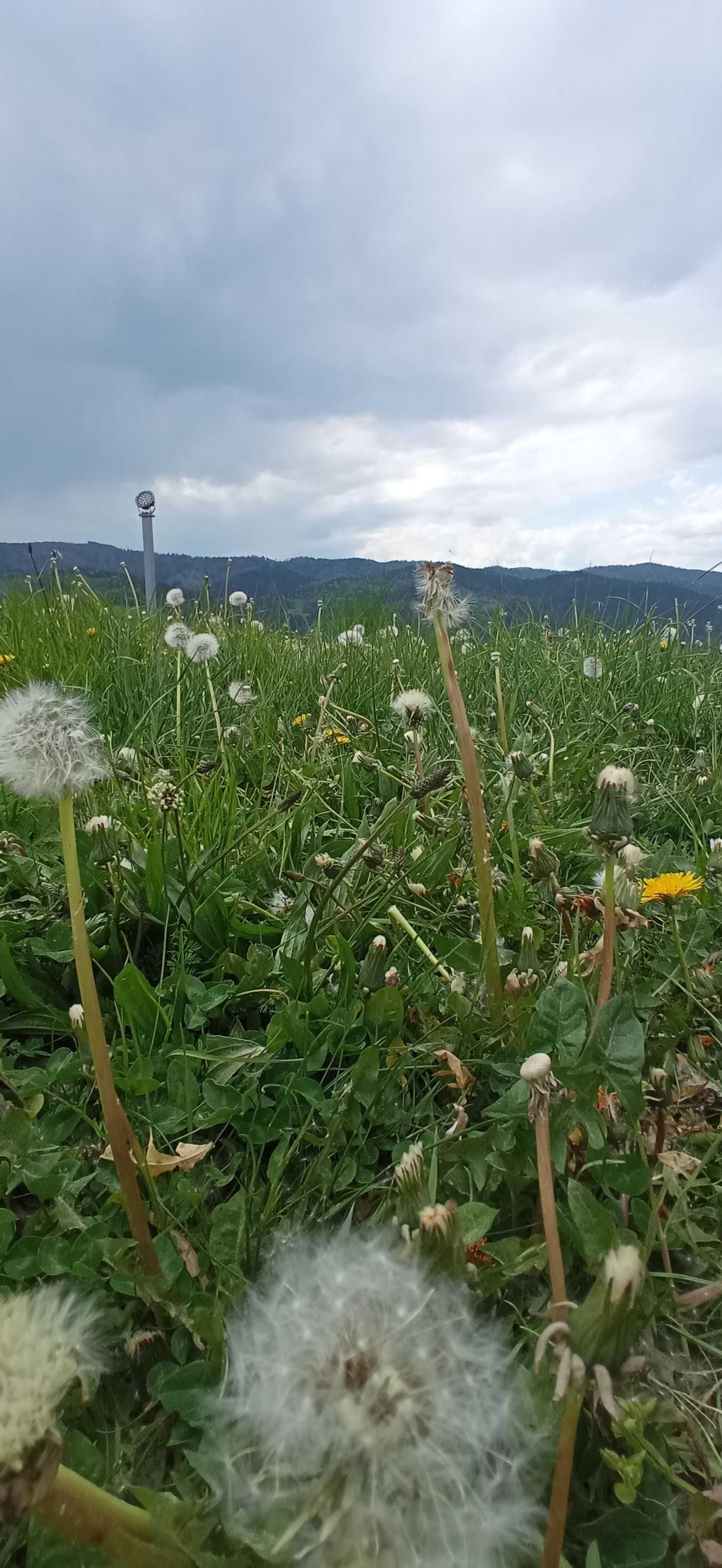 noclegi w Gorcach, pokoje, wczasy w górach, wakacje, weekend