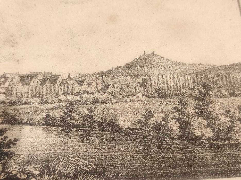 Rysunek nieznanego malarza „Riedlingen a.d.Donau um 1834”.