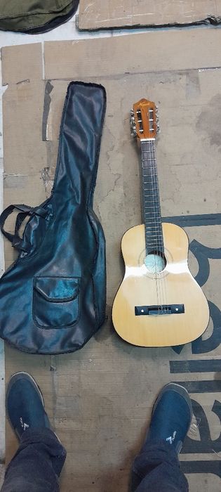 Viola criança estimada