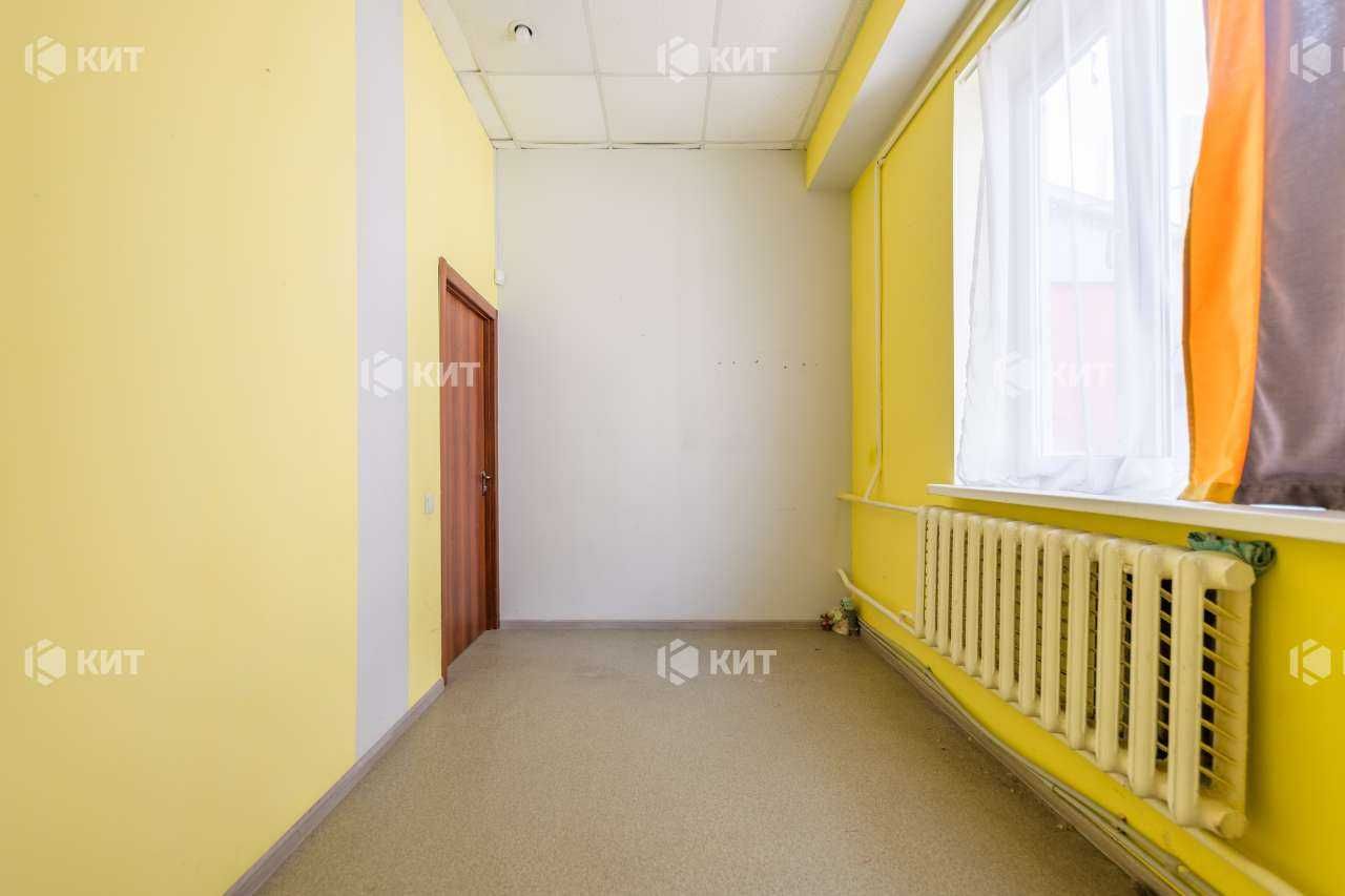 Офис 140м2 Центр ( м. Майдан Конституции, ул. Сумская 13) 128741