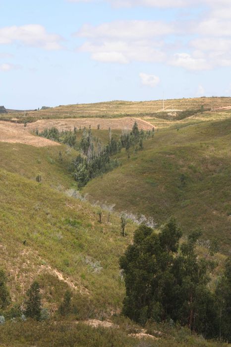 Herdade de 98,6 ha de área e 5 edificações em São teotónio - Odemira