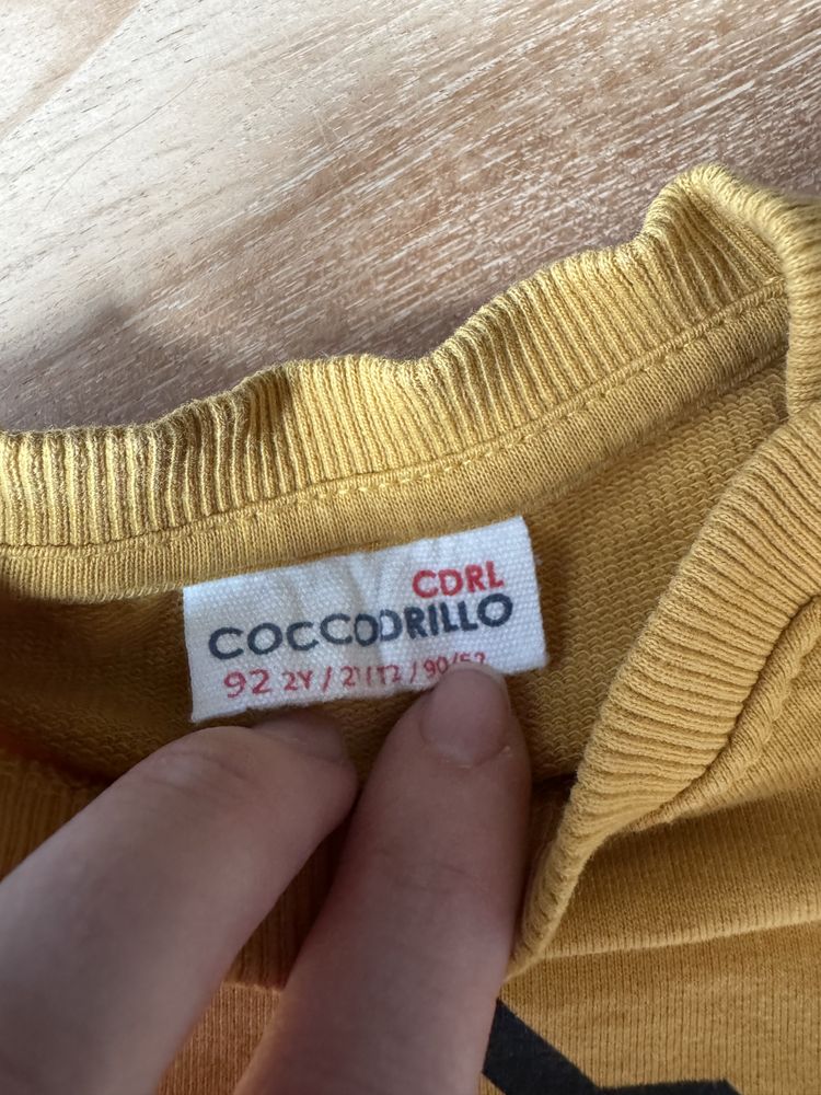 Bluza koszula z dtugim rekawem sweter