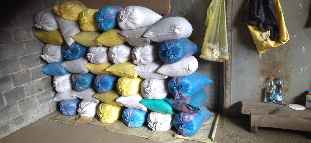 oczyszczone ozime zimowe wszystkie gatunki transport wysyłka osobisty