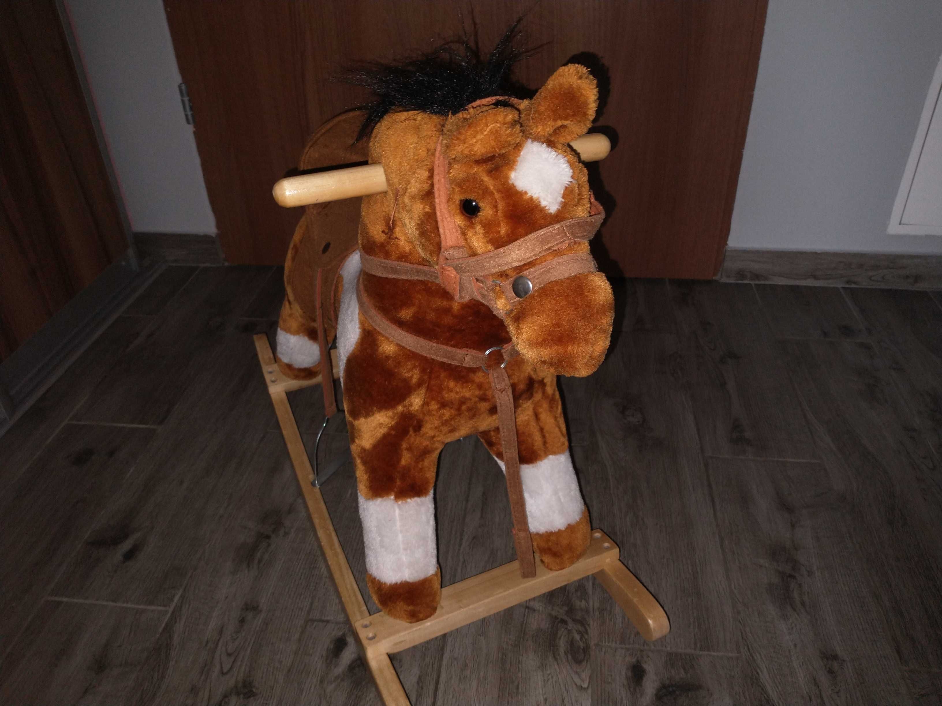Koń na biegunach