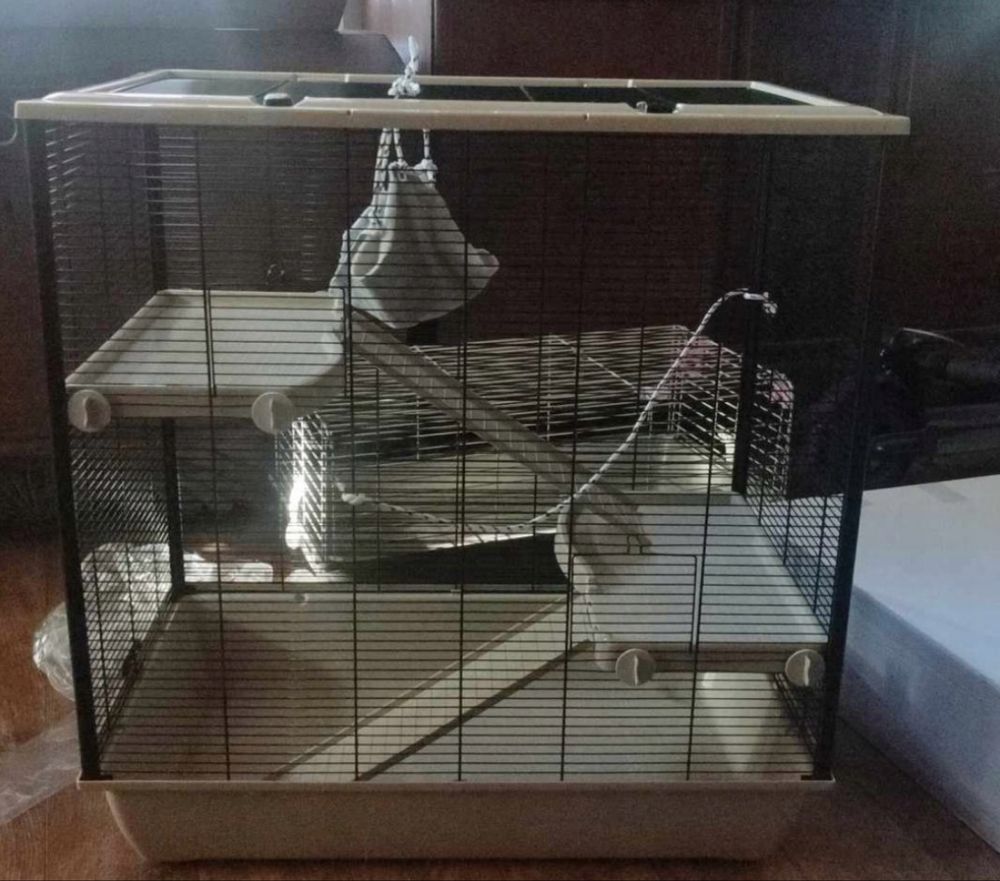 Klatka XXL dla gryzoni szczurów, fretki, chomików