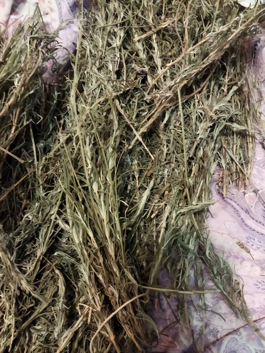 Лаванда сушена  сухоцвіт лаванди