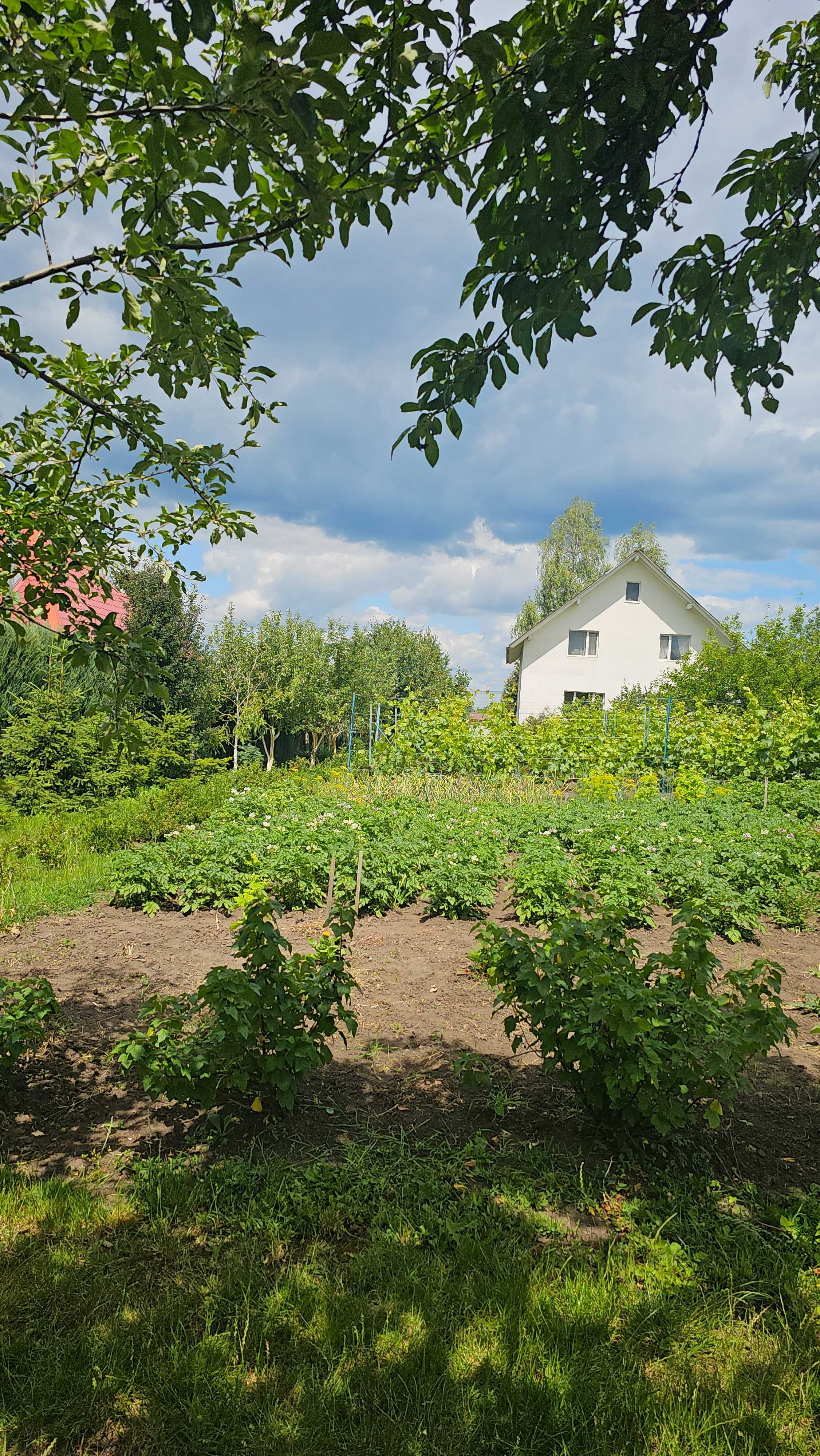 Продаж Добротного будинку 15 км Холодна Гора СМТ Високий