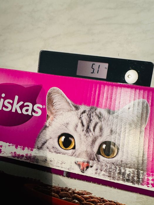 Nowe jedzenie dla kota Whiskas 51 saszetek kurczak wołowina jagnięcina