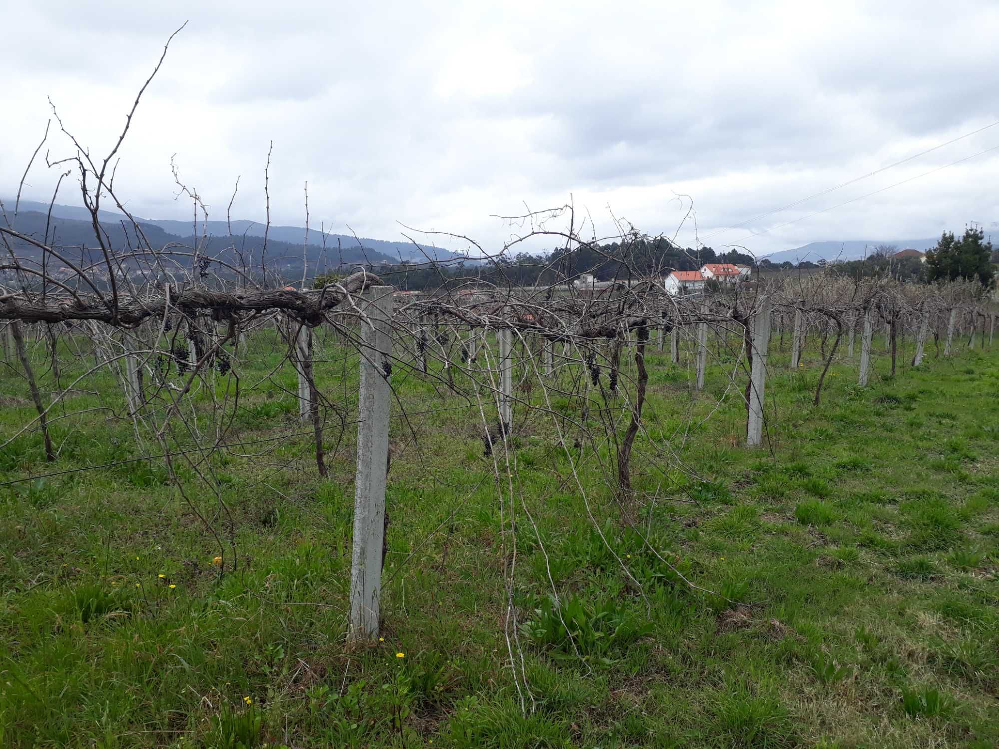 Terreno para construção