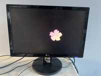 Ecra LG computador
