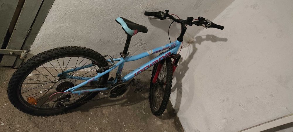 INDIANA Roxy Jr 24 cale dla dziewczynki.