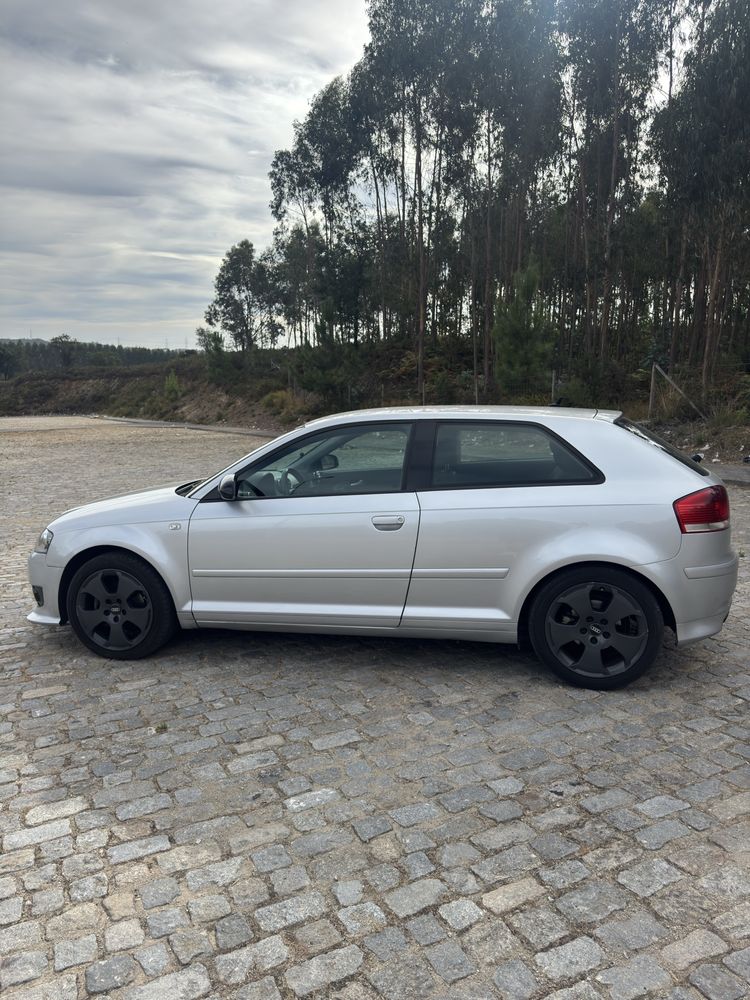 Audi A3 8P 2.0 TDI