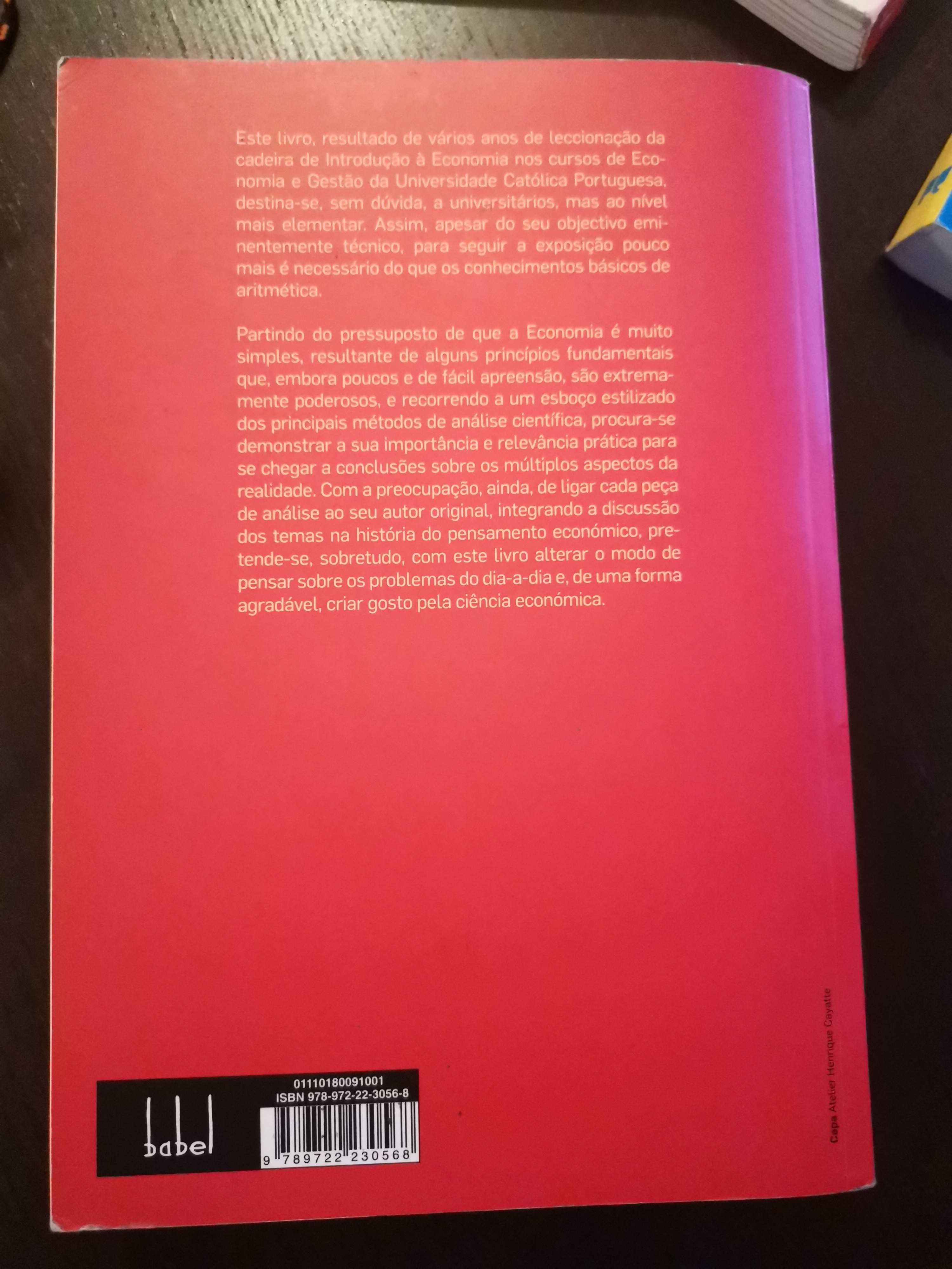 Livro Introdução à economia