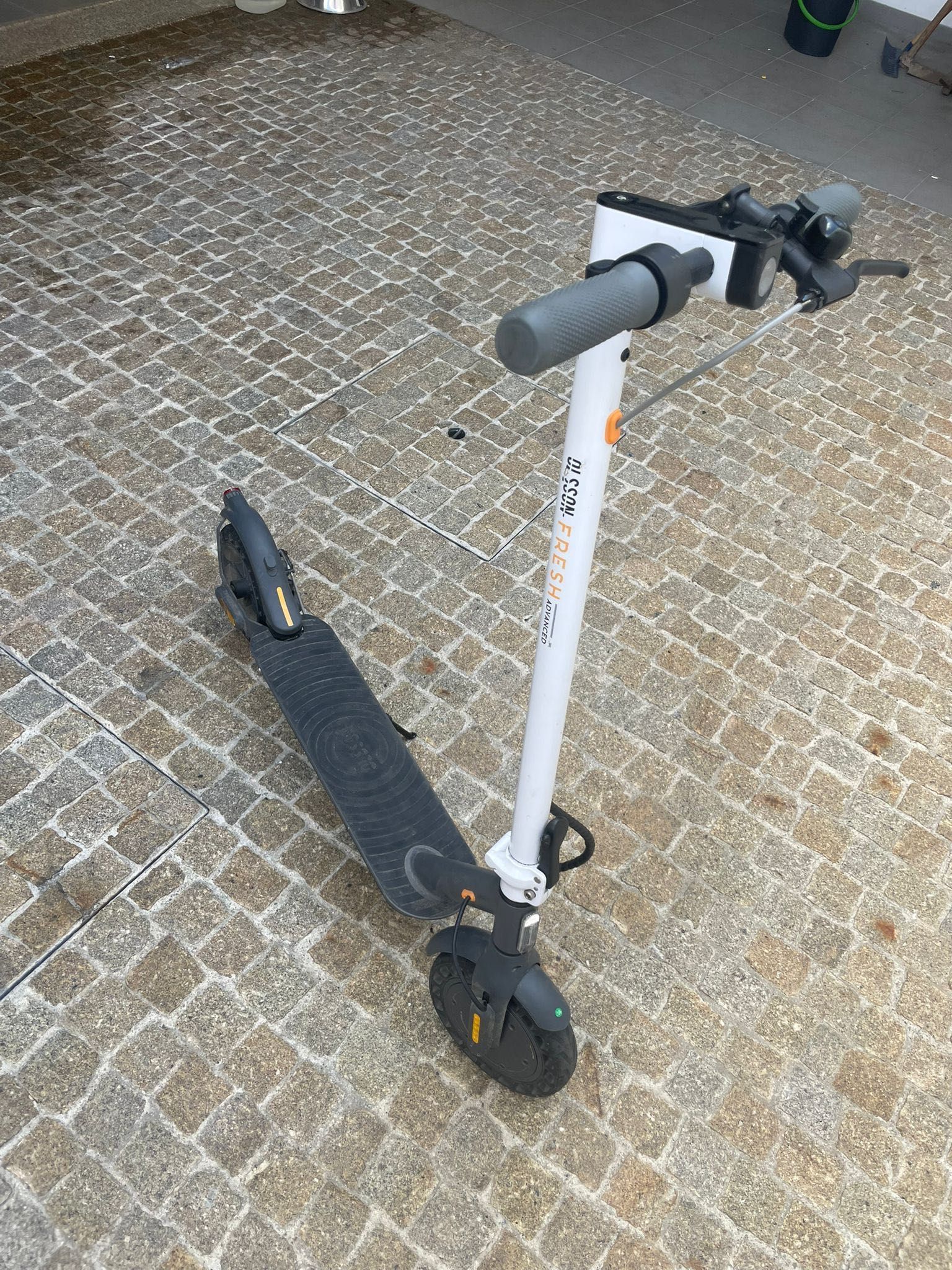 Trotinete Olson Fresh advanced V2