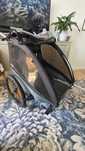 Thule Coaster XTprzyczepka rowerowa