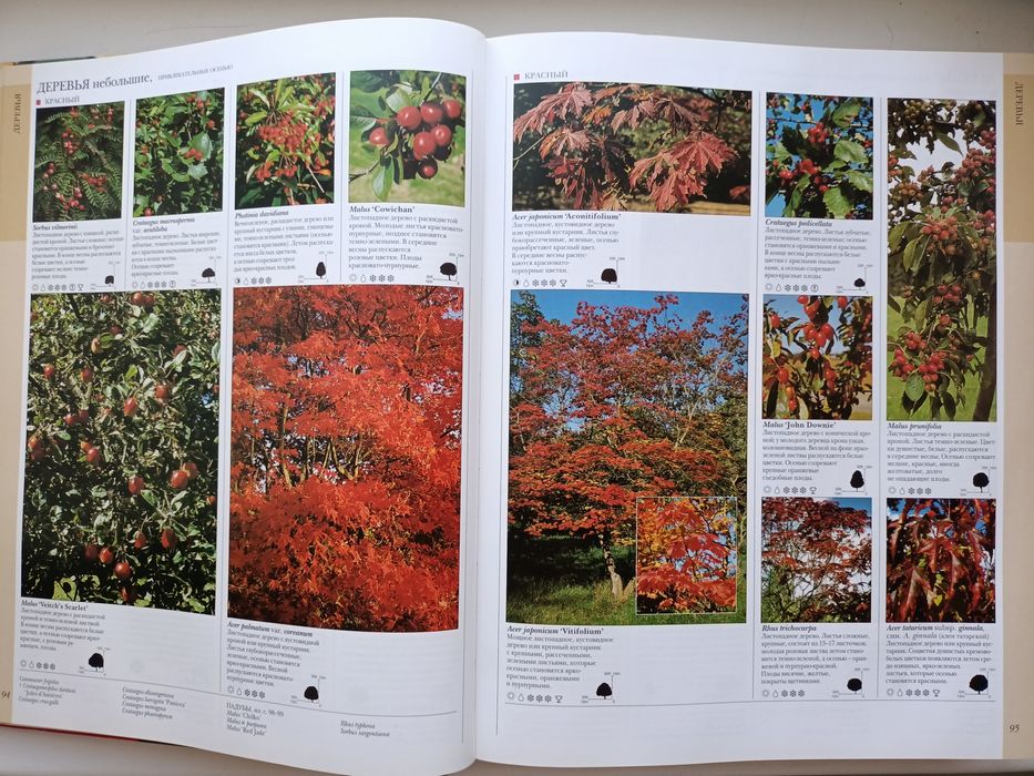 Ваш цветущий сад