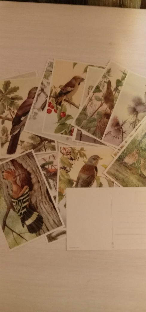 Комплекты открыток: птицы,бабочки,рыбы,роспись на шелке