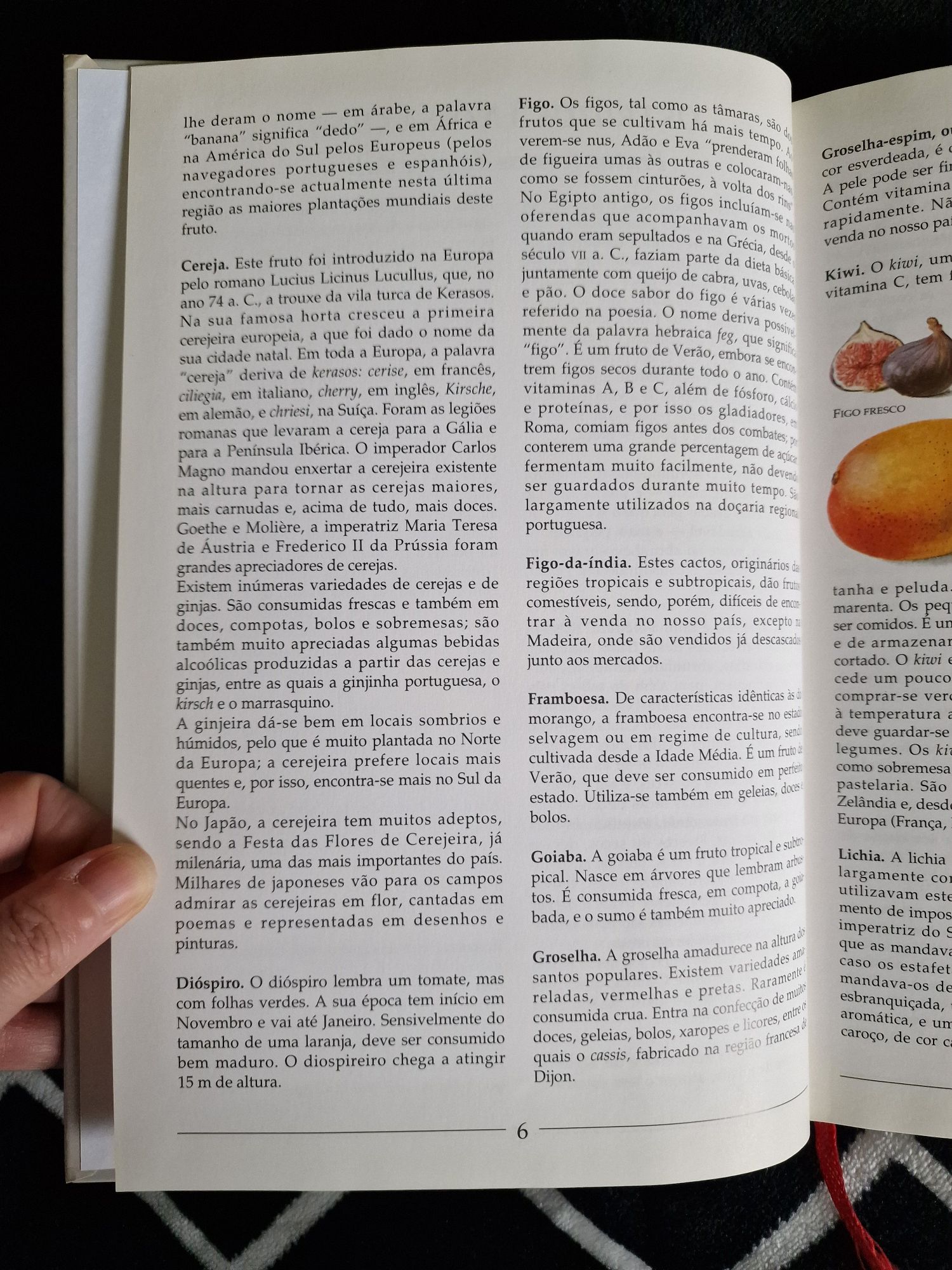Livro Um Mundo de Sabores Frutos