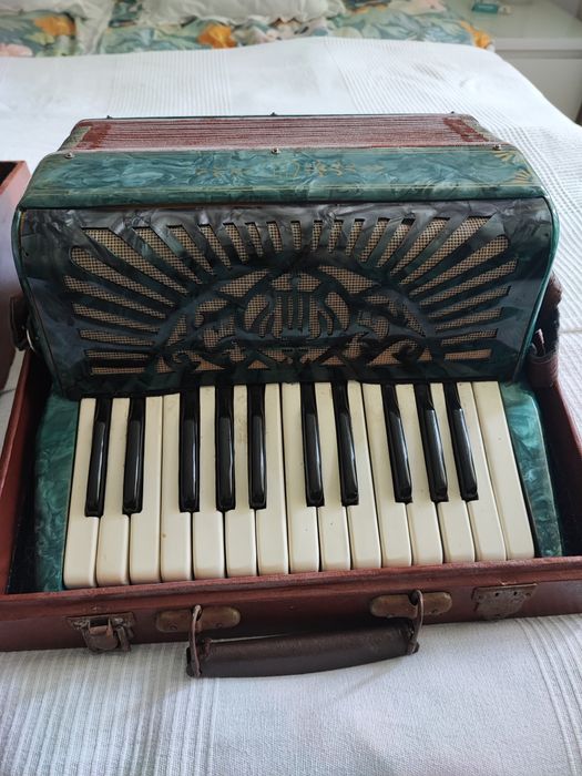 Akordeon w futerale