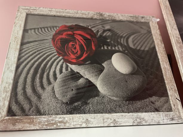 obraz róża 30x40
