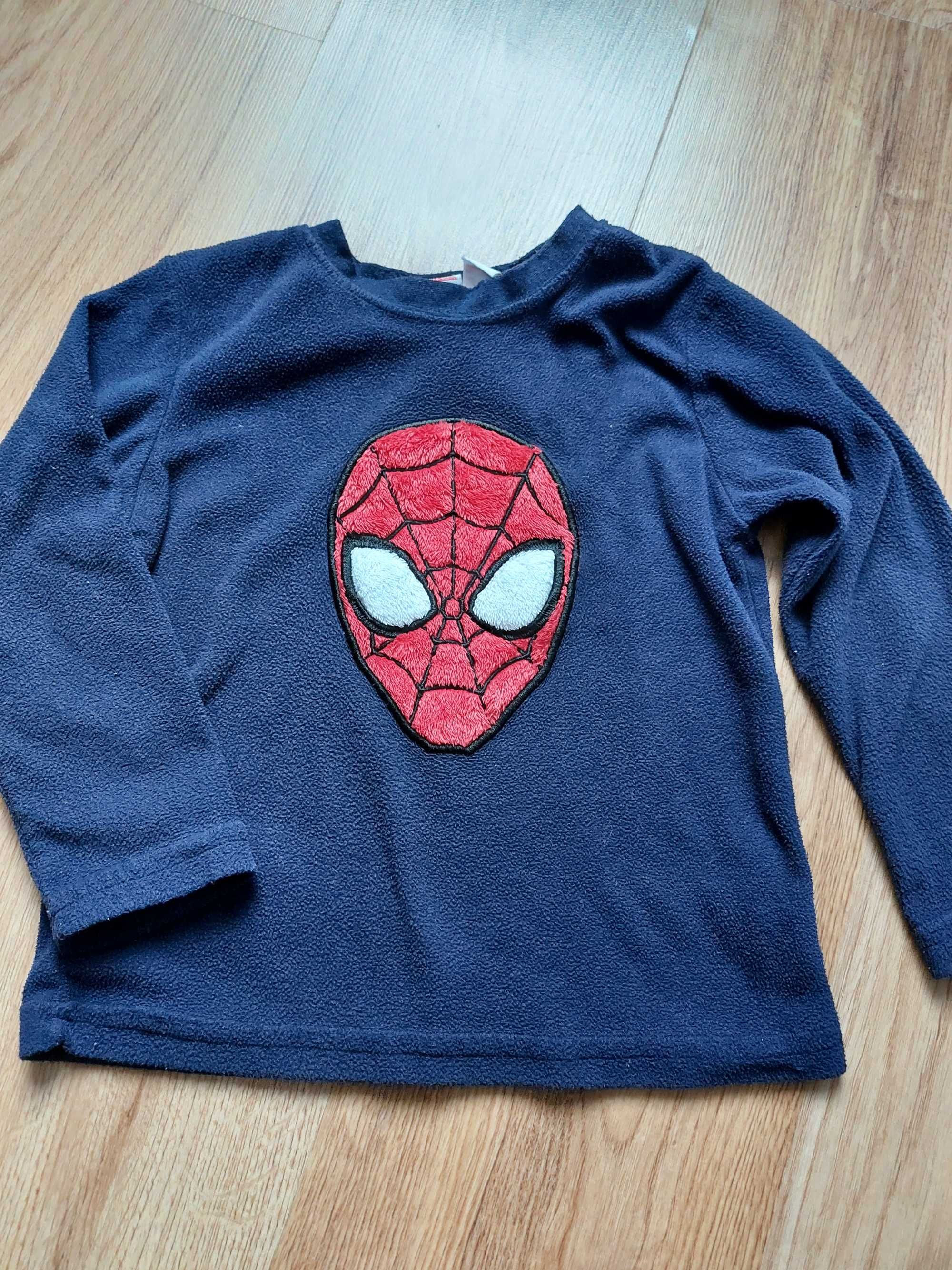 Bluza Spiderman dla chłopca rozm.116