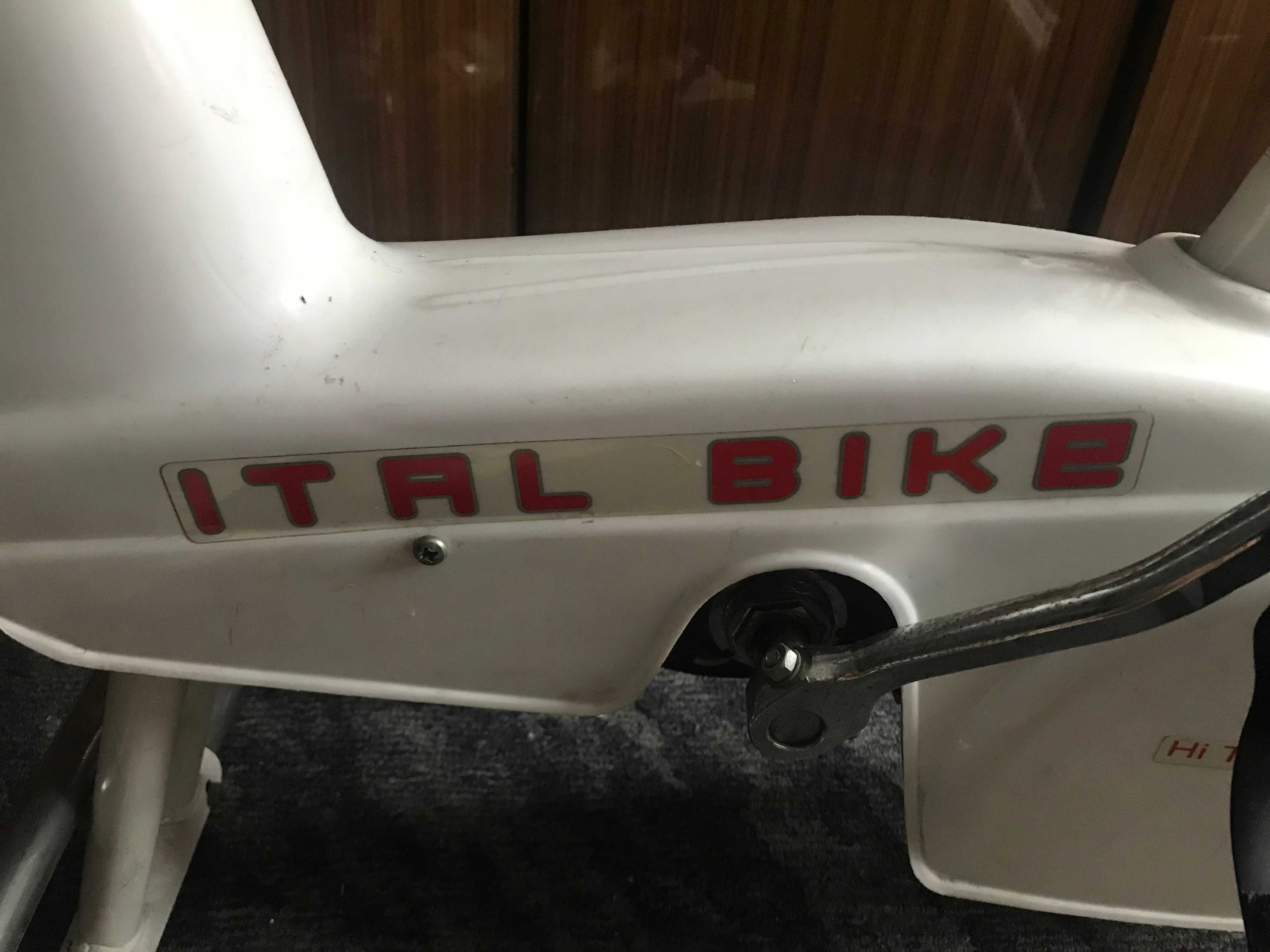 Rower rehabilitacyjny Ital Bike, model 2800