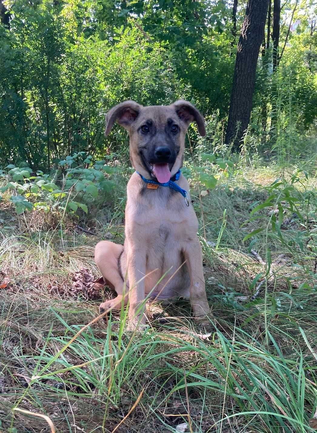 Красивий хлопчик, 5 міс