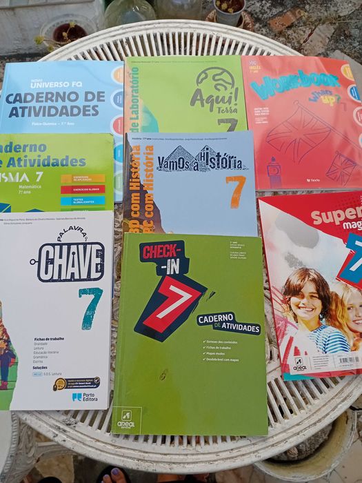 7 Cadernos de Atividades  7°Ano Texto editora