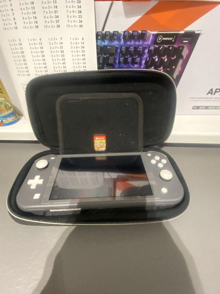 Nintendo lite szare