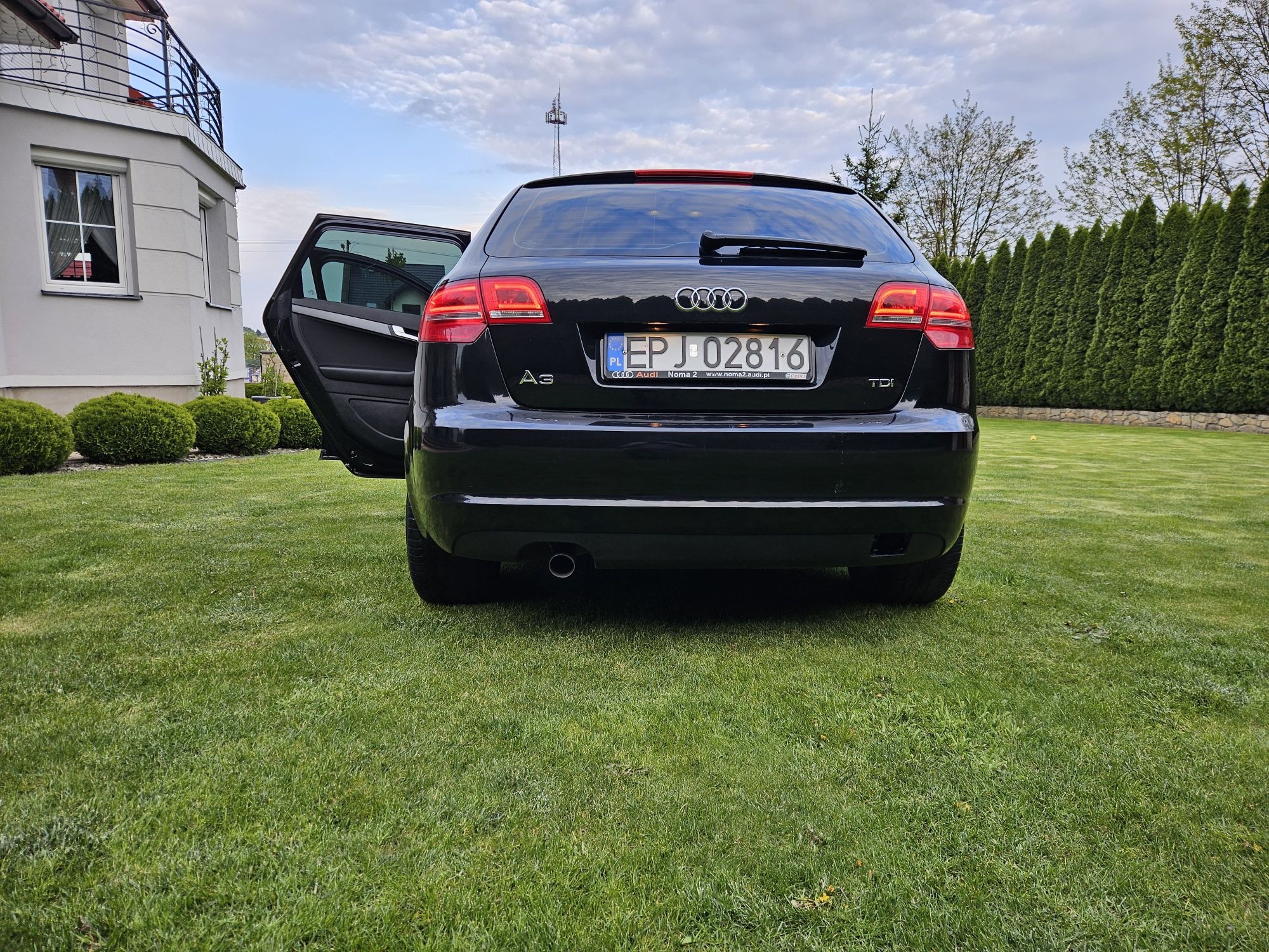 Audi a3 8p Sportback