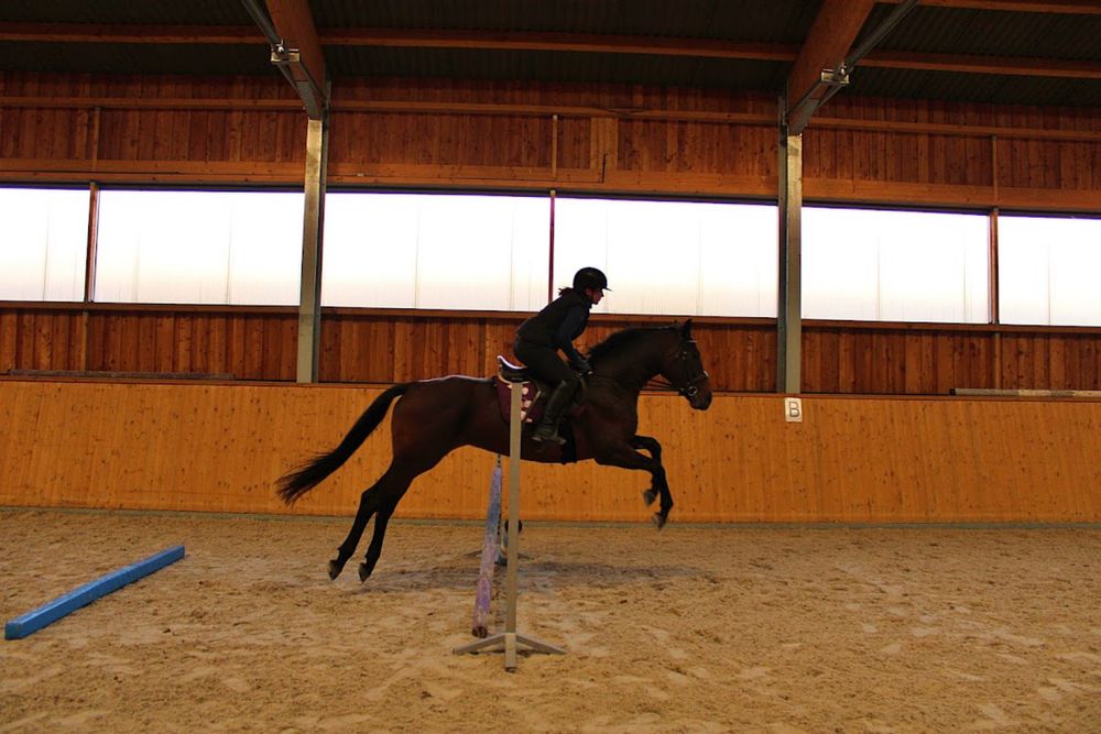 Wysoka klacz  (170cm) pelny TUV