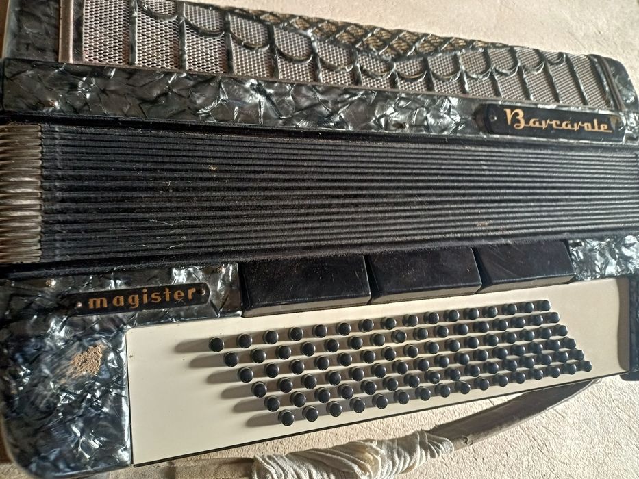 Akordeon barcalole magister