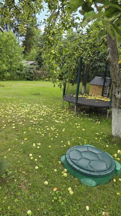 Cena po sezonie -Duża działka ROD ul. Andersa. 794m+  dużo dodatków i