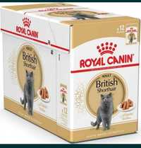 Royal canin British пауч 12шт×85гр