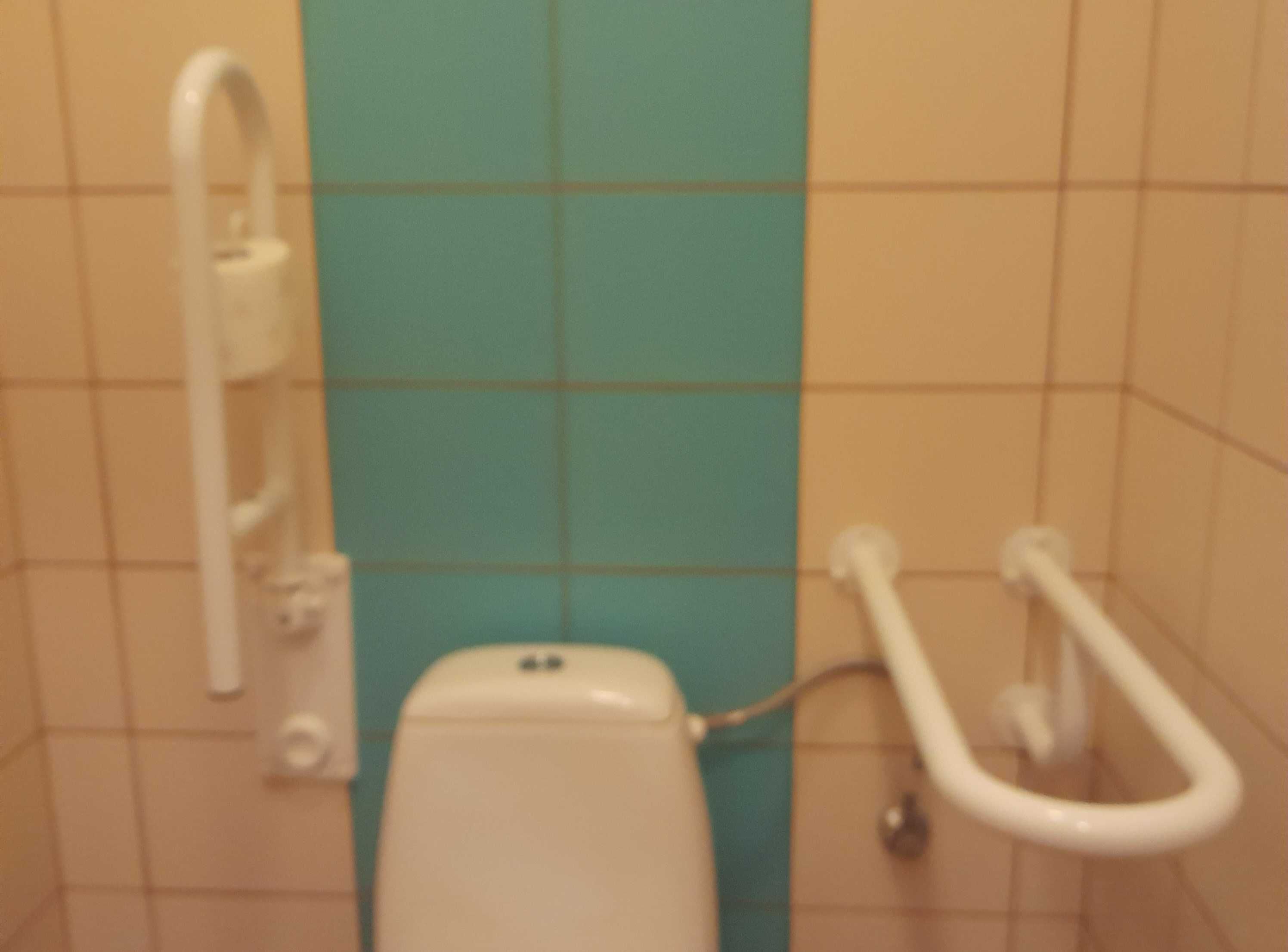 Komplet poręczy do WC dla niepełnosprawnych, uchylna i stała