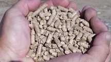 Pellet Pelet 6mm 866zł brutto.