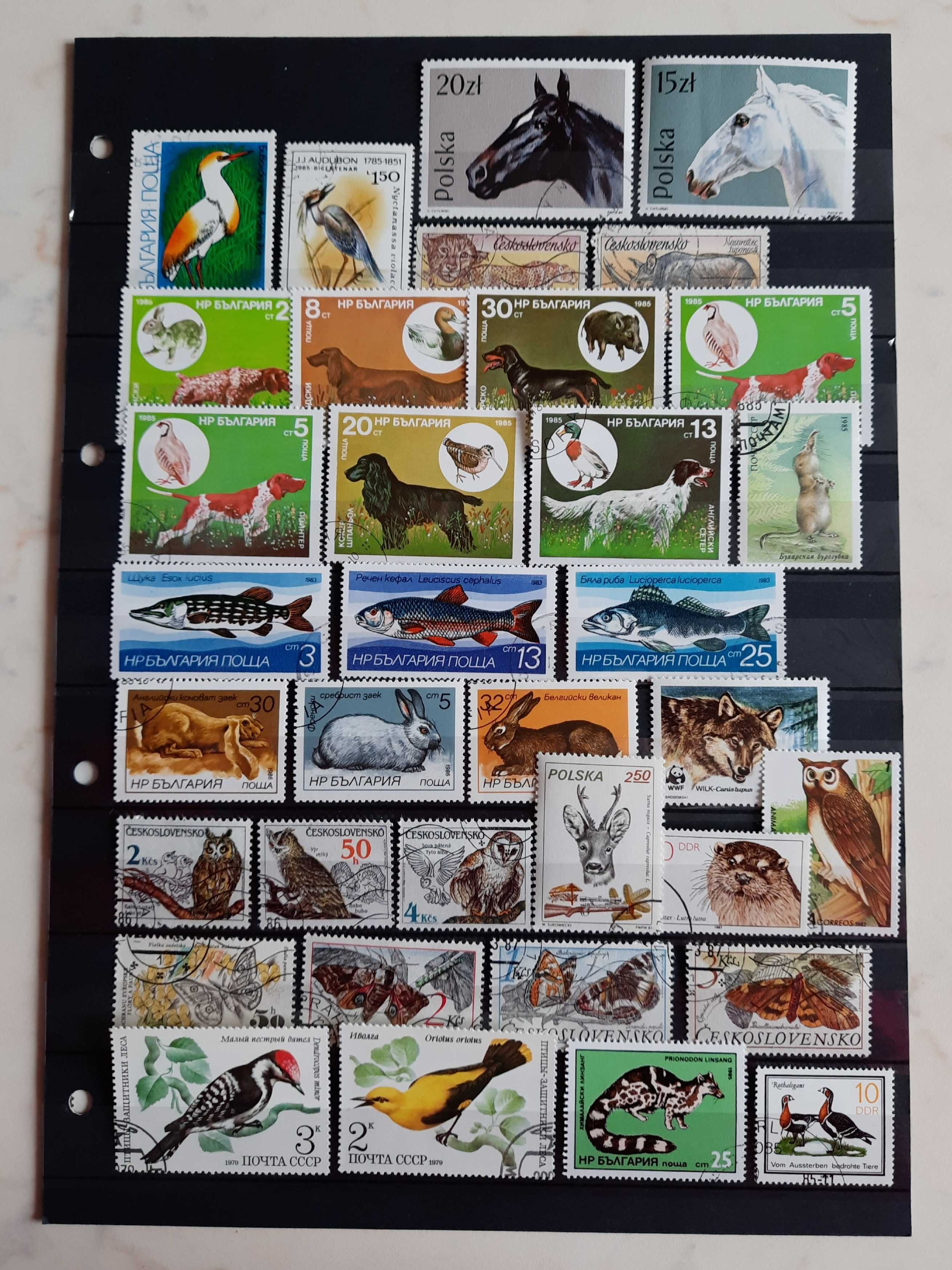 82 znaczki z całego świata o tematyce FAUNA