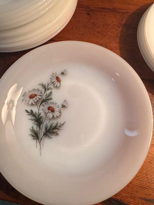 Vintage Serviço Arcopal Malmequeres