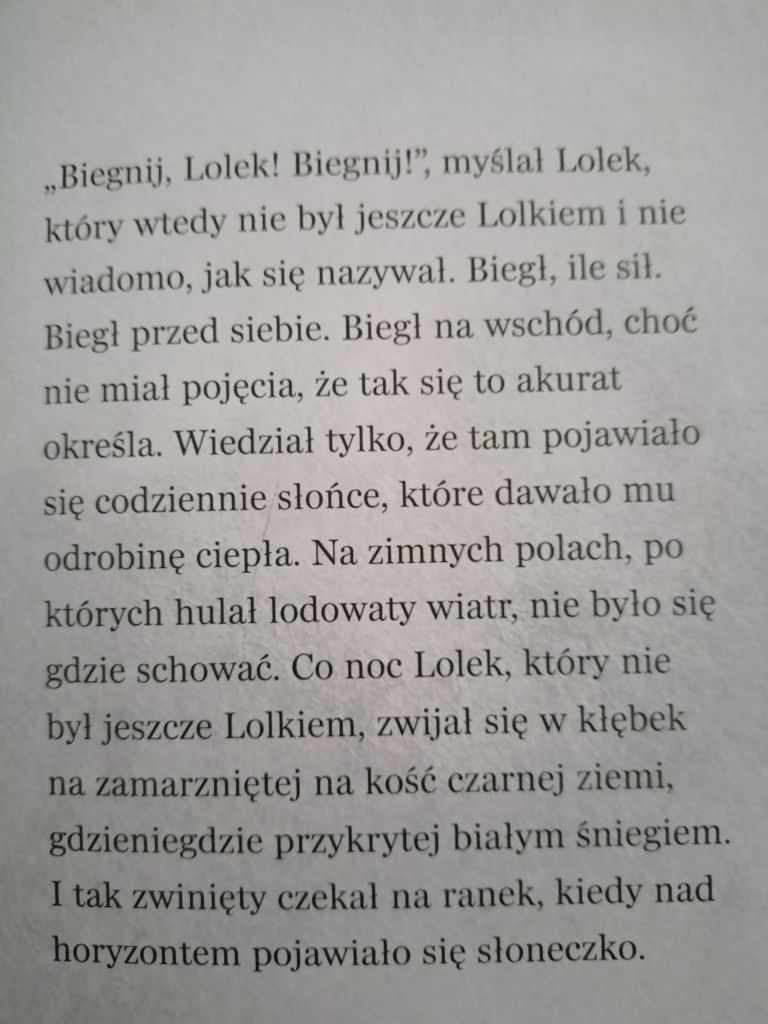 Lolek- Adam Wajrak