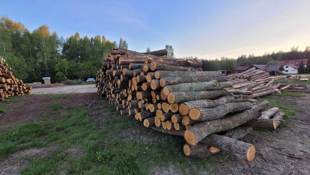Drewno Dębowe w wałkach, w kawałkach, 2.5m
