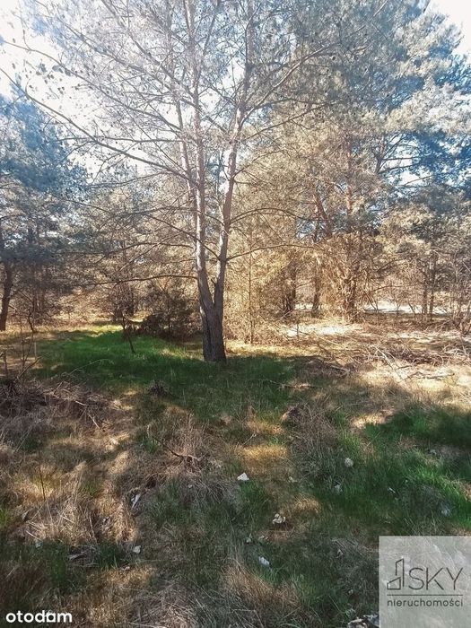Piękna działka siedliskowa 10 min od Wrocławia